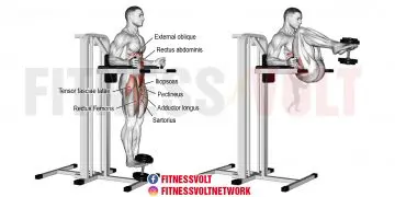 Weighted Captain’s Chair Leg Raise for Stronger Abs & Hips