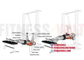 Build Back Strength: Weighted Inverted Row for Total Upper Body