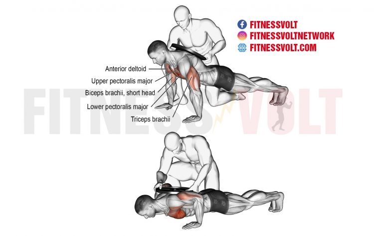Weighted Push-Up