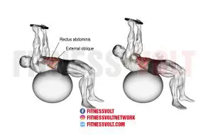 Weighted Stability Ball Crunch