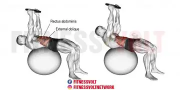 Weighted Stability Ball Crunch