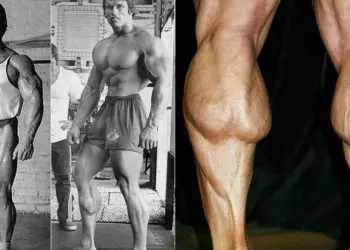 Calf Raise Exercises