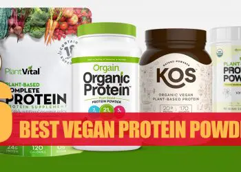 Best Vegan Protein Powders