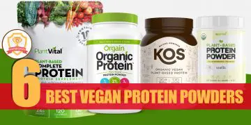 Best Vegan Protein Powders