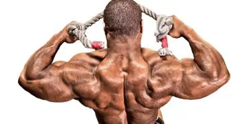 Rear Delts Exercises