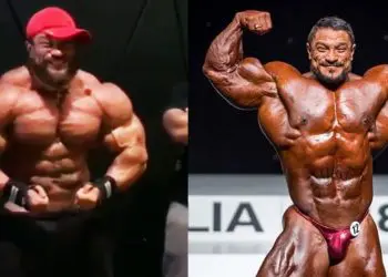 Roelly Winklaar Update