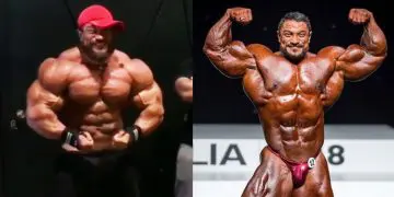 Roelly Winklaar Update