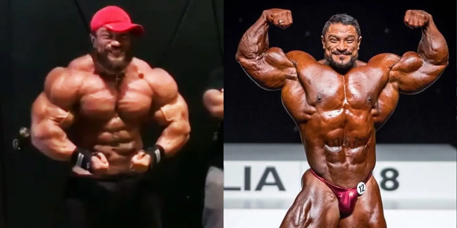 Roelly Winklaar Update