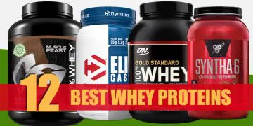 Best Whey Protein Powders Reviewed For 2019