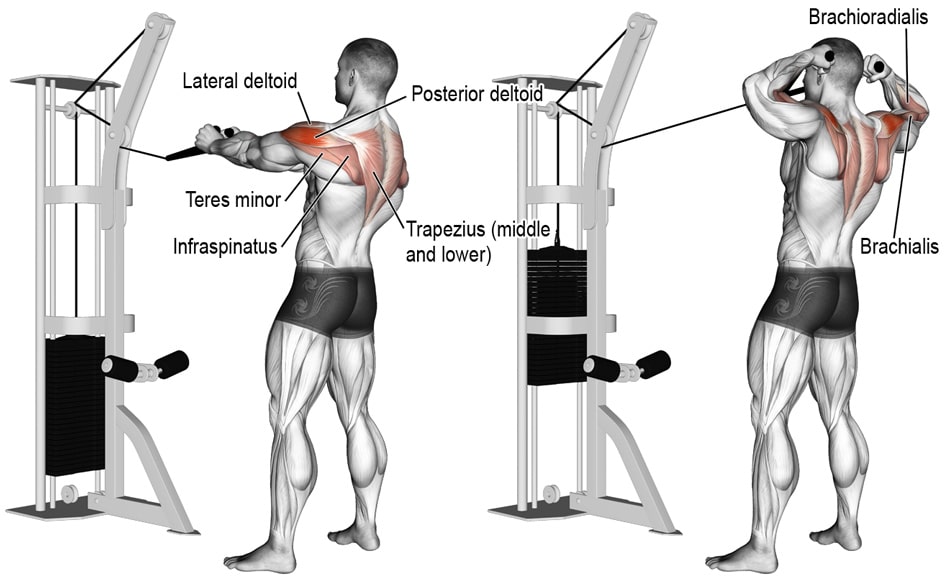 Cable Face Pull External Rotation At Steve Stults Blog