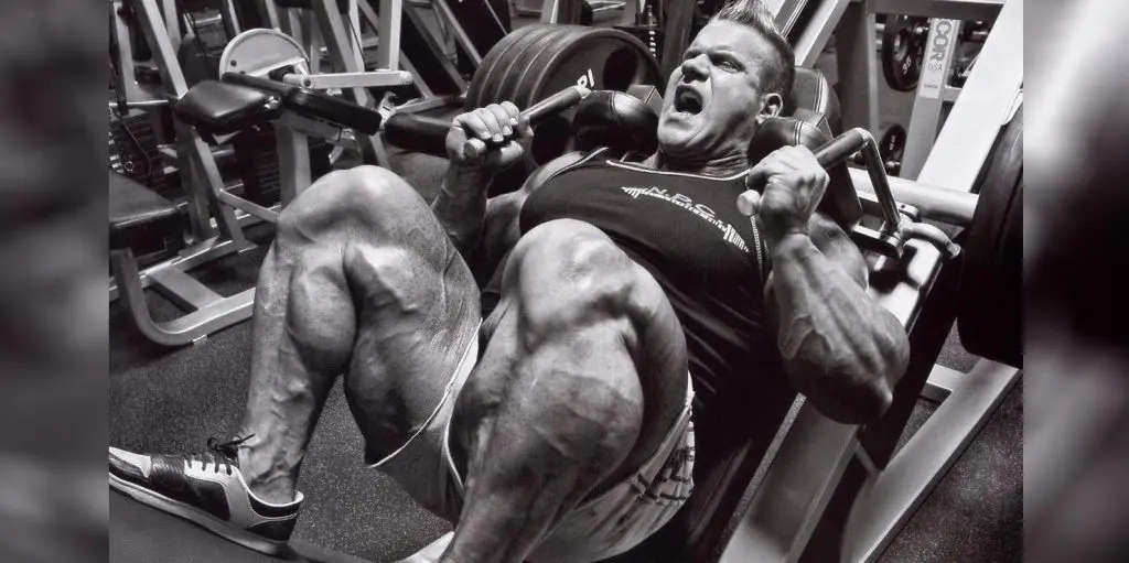 Hack Squat Guide