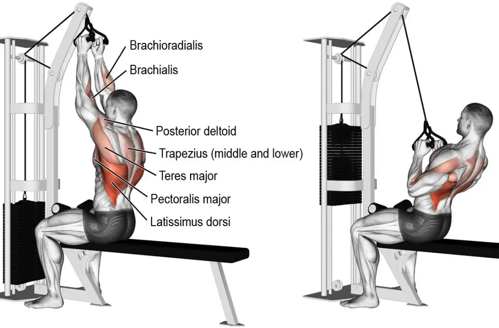 Seated Cable Pull Down