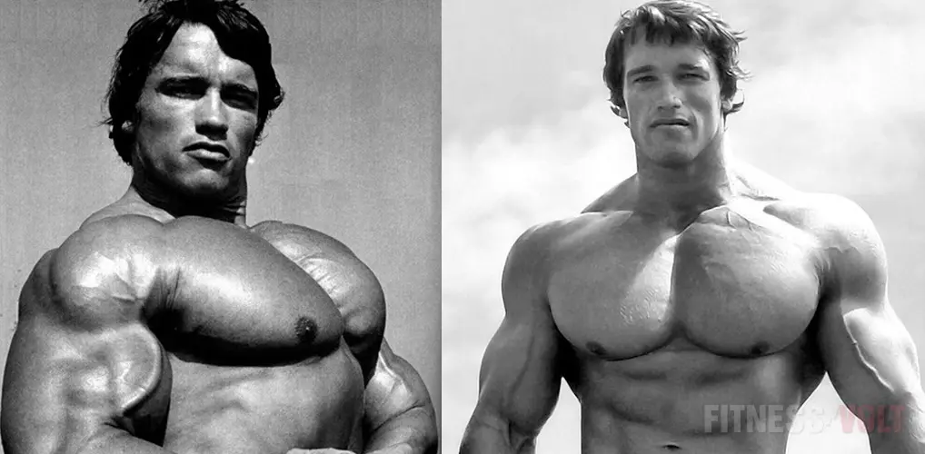 Arnold Chest
