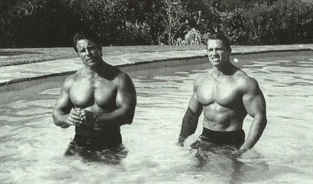 Arnold Recovery