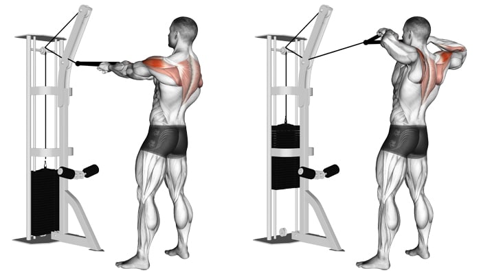 Image result for standing cable face pulls