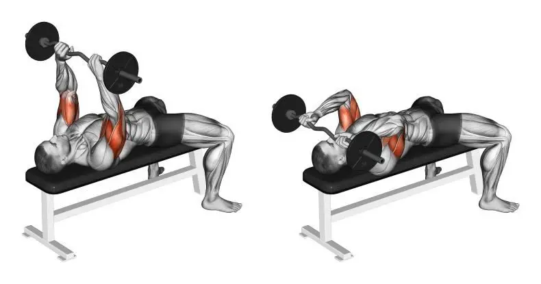 Amazing Supersets For Bigger, Stronger Biceps and Triceps ...