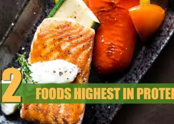 Highest Protein Foods