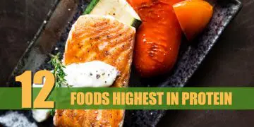 Highest Protein Foods