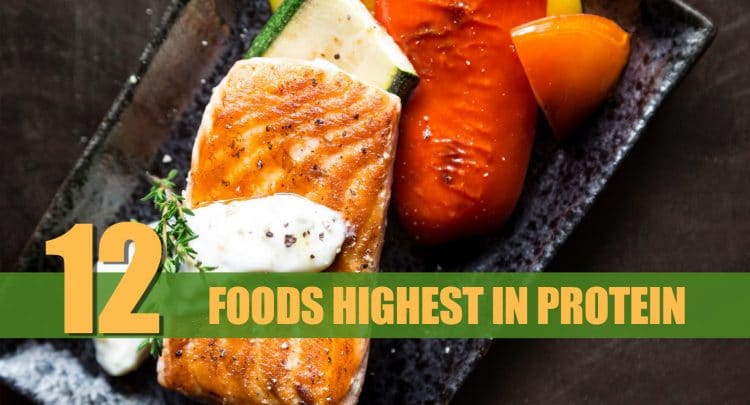Highest Protein Foods