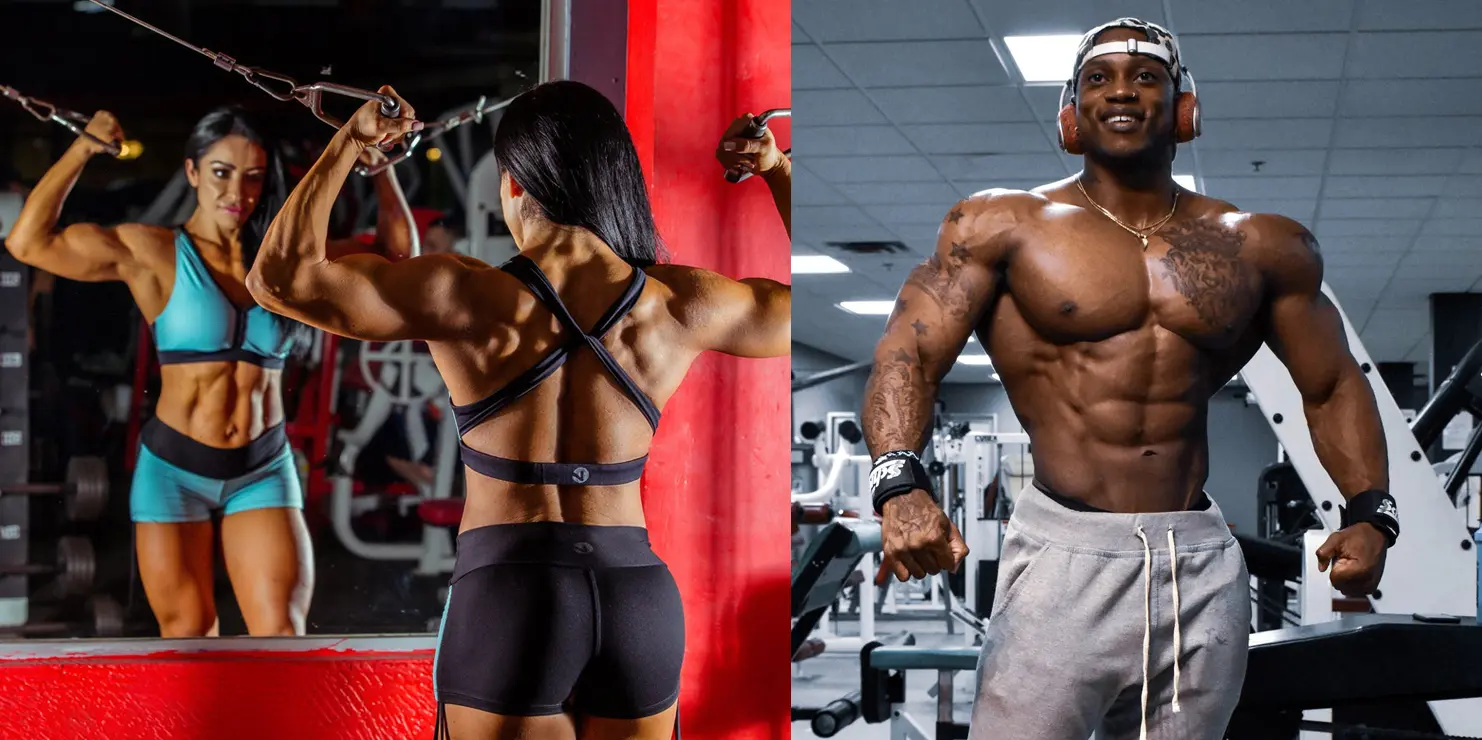 Renaissance Periodization Program