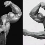 Unique Bicep Exercises