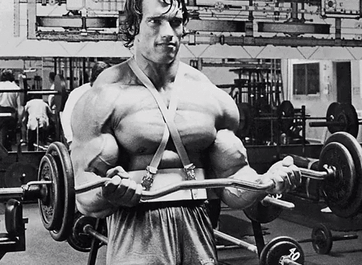 Arnold In Gym