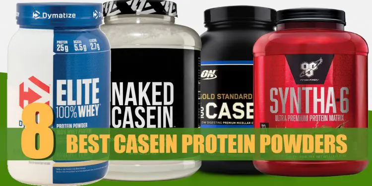 Best Casein Protein Powders