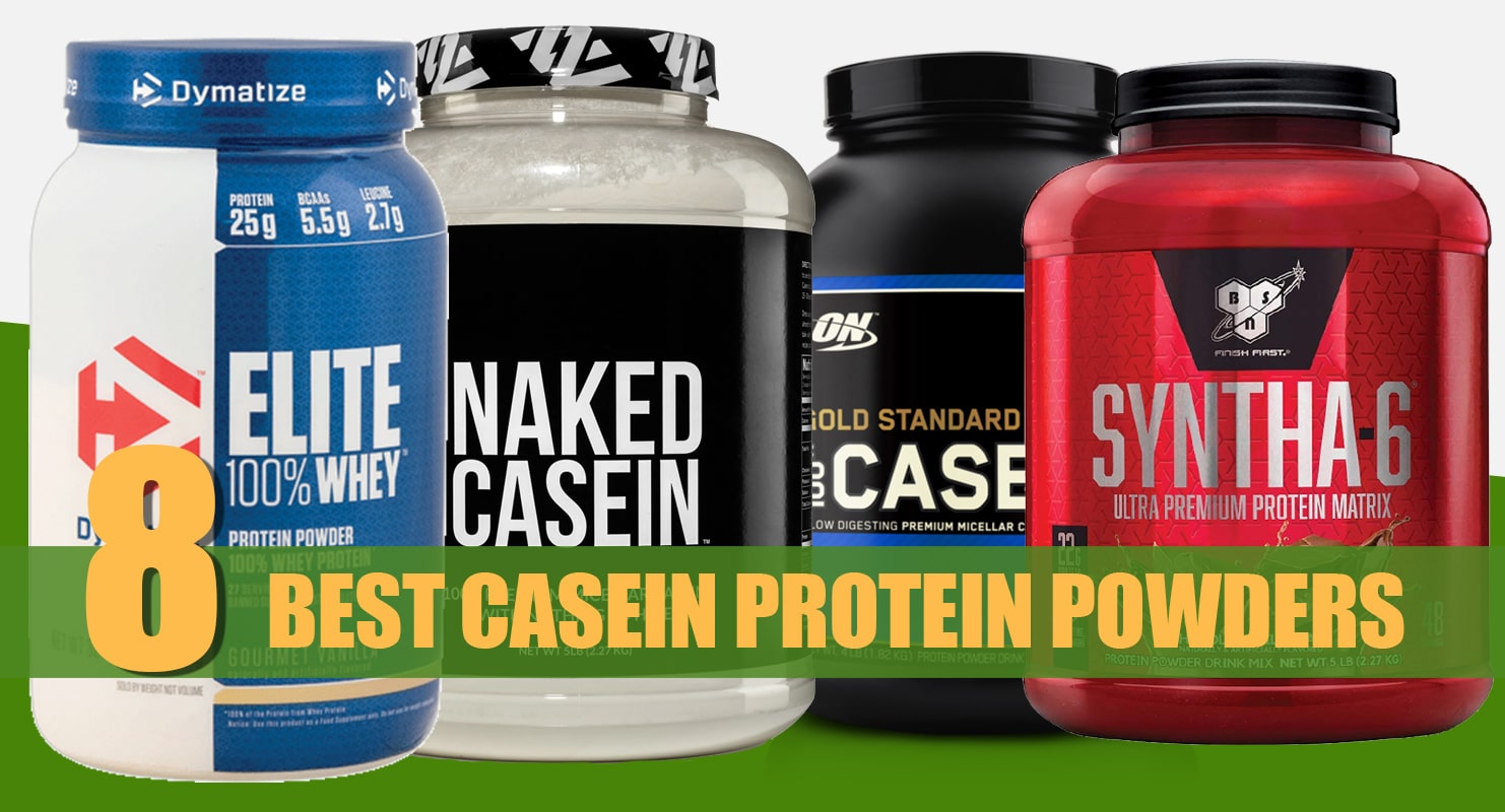 Best Casein Protein 2025 - Franni Stevana