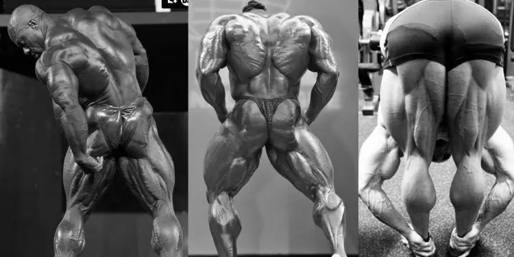 Best Hamstring Development Tips