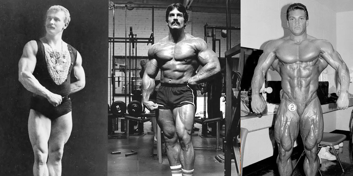 Calorie Counting in Bodybuilding