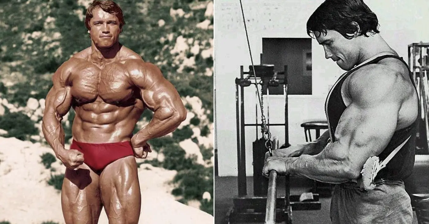 Writing Fat Loss Or Hypertrophy Program