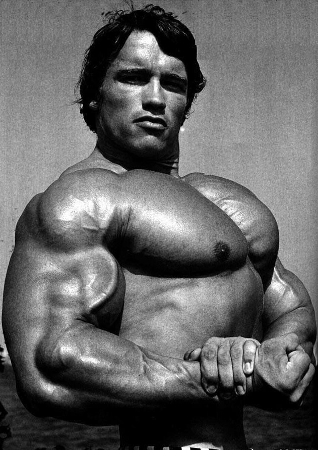 Arnold Side Chest Pose