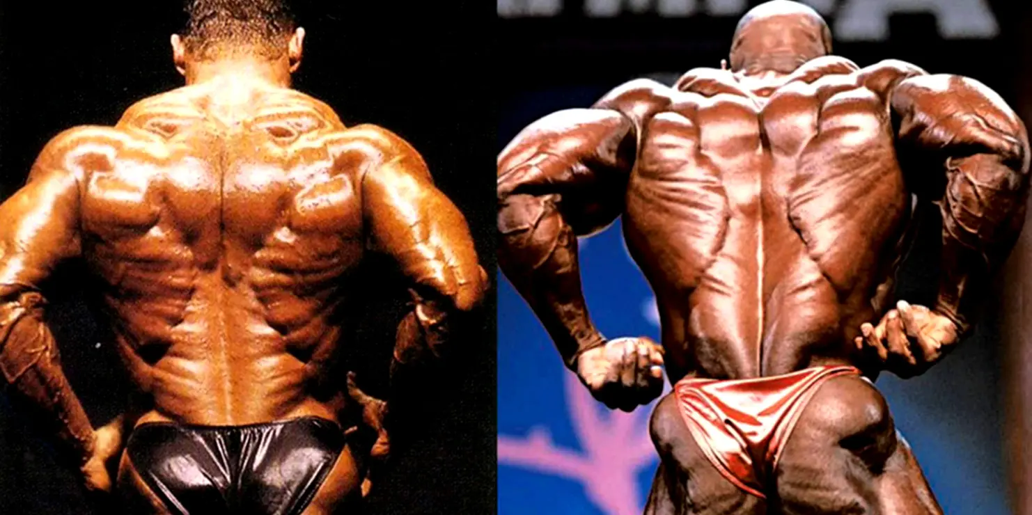 Bigger Stronger Back Workout