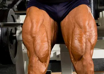 Build Bigger Legs