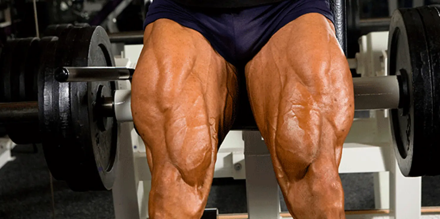 Build Bigger Legs