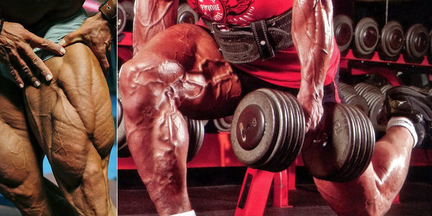 Bulgarian Split Squats