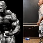 Flex Wheeler Step