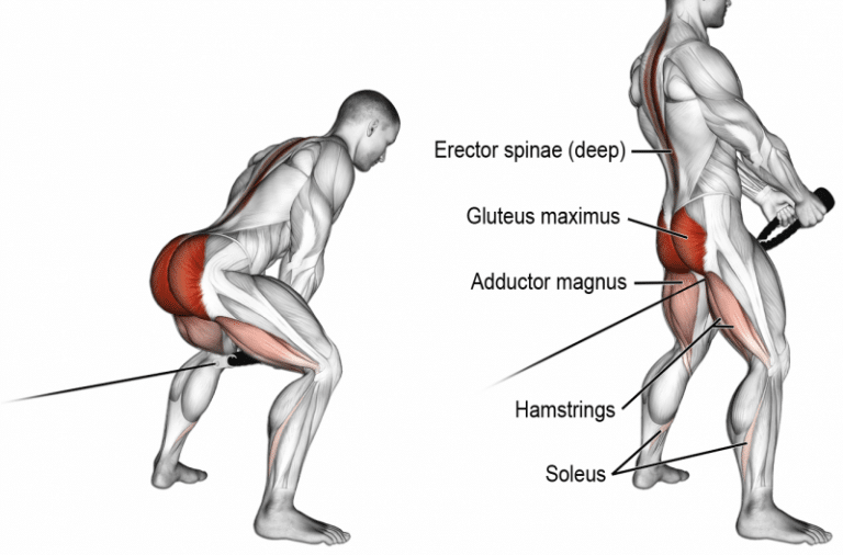 Glute Bridge 5 Effective Variations For A Better Butt Fitness Volt 6026