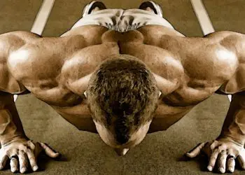 Push Up Variations Exercises