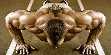 Push Up Variations Exercises