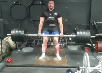 Terry Hollands