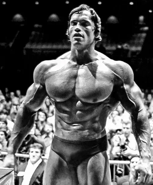 Arnold Schwarzenegger Chest