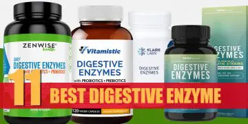 Best Digestive Enzyme