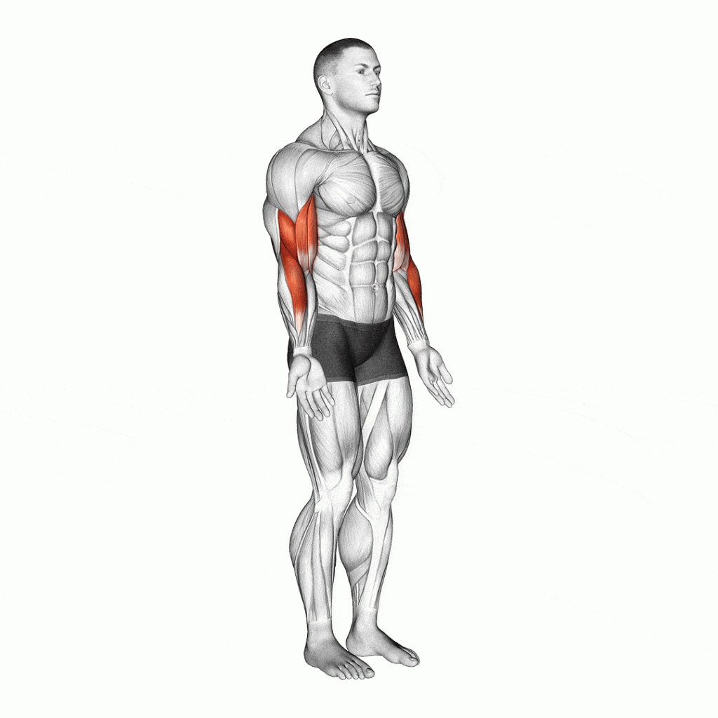 Biceps Curl Variations To Build Your Best Arms Ever Fitness Volt
