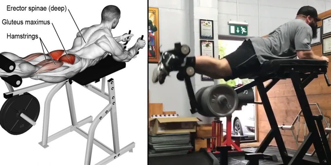 Reverse Hyperextension Guide — Muscles Worked Variations And Benefits Fitness Volt