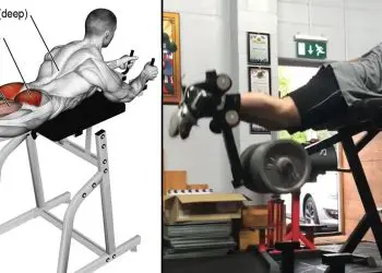 Reverse Hyperextension Guide