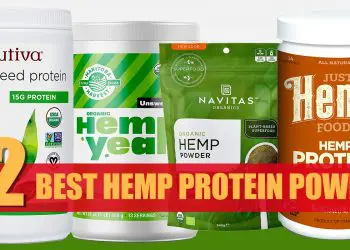 Best Hemp Protein Powder