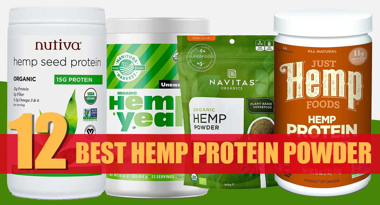 Best Hemp Protein Powder