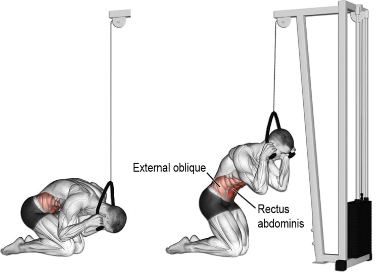 How To Do Cable Crunches The Right Way Fitness Volt How To Do Cable Crunches The Right Way Fitness Volt