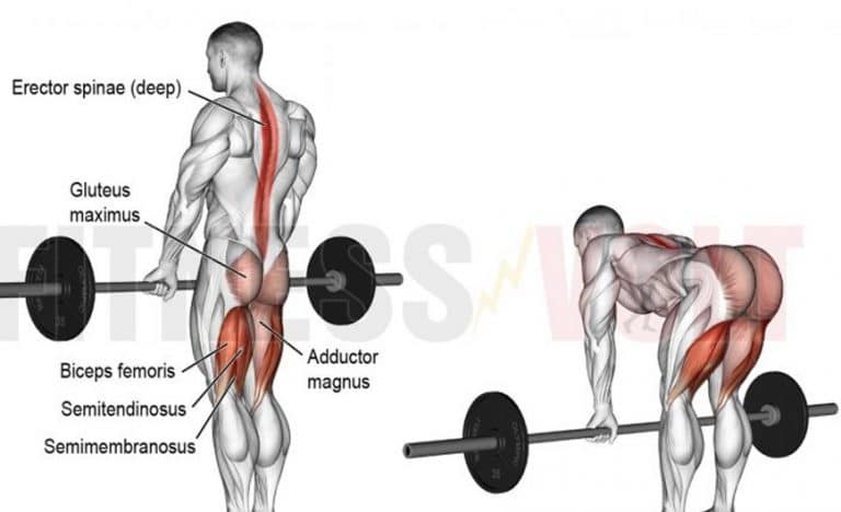 Deficit Deadlifts – Benefits, Correct Technique, Mistakes To Avoid, And ...